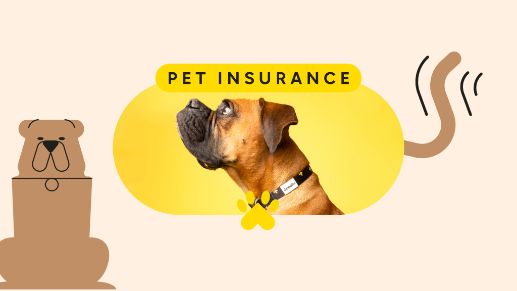Pet insurance