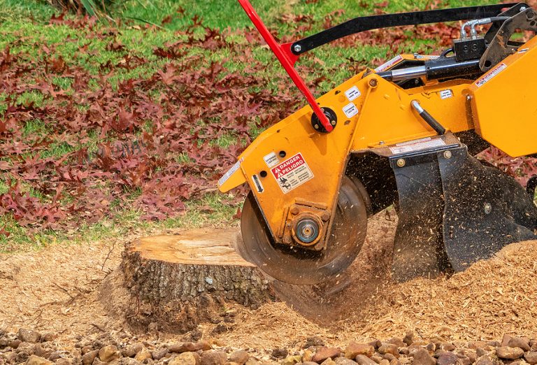 Essential Guide to Stump Grinding: Methods and Equipment Explained