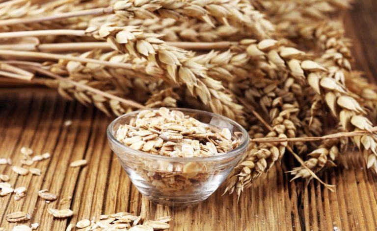 Exploring the Dynamics of Oats Price in Pakistan: Trends and Predictions
