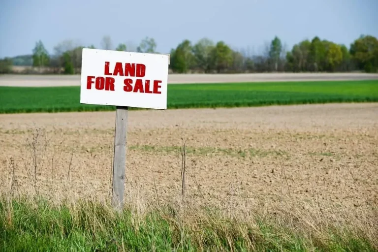 Selling My Land Fast: The Ultimate Guide to Speedy Deals