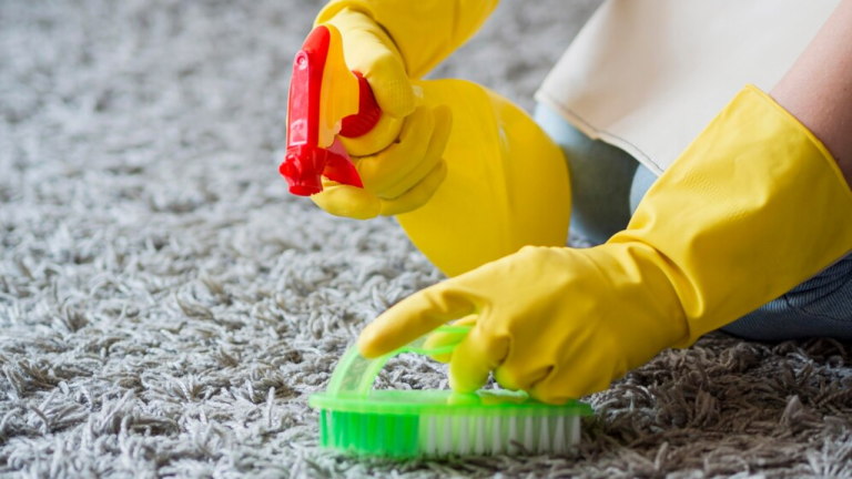 Why Professional Carpet Cleaning and Sofa Cleaning in Qatar Matters for Your Home and Office