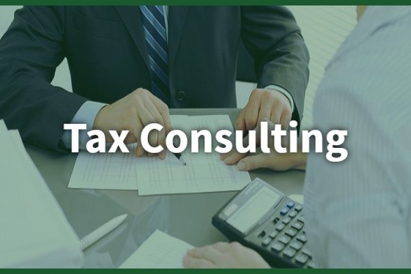 Tax Consulting