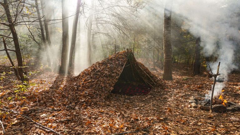 Lost in the Woods: Chilling Bushcraft Survival Stories