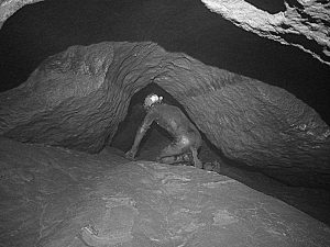 Tragic Cave Disaster