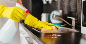 Edmonton Maid Services