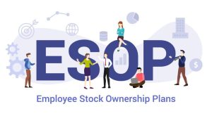 Avoid These Common Mistakes in ESOP Calculations to Maximize Your Benefits