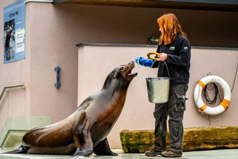 Unlock Adventure: The Ultimate Family Day Out with Zoo Melaka Tickets!