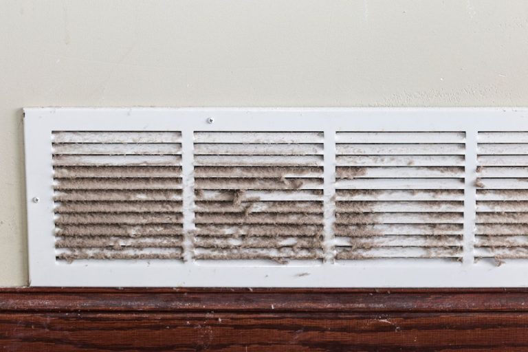 What Air Duct Cleaners in Brentwood TN Find in Homes with Pets Will Shock You
