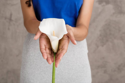 Among the many self-care essentials gaining recognition, intimate wash for women has emerged as a revolutionary product in the personal hygiene industry.