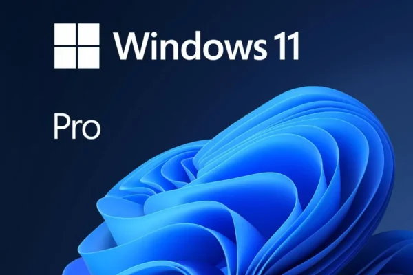 Windows 11