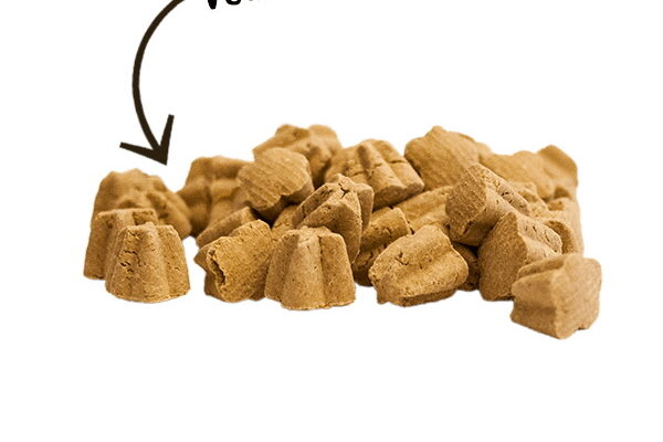 freeze dried dog treats