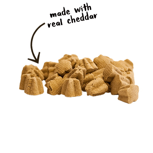 freeze dried dog treats
