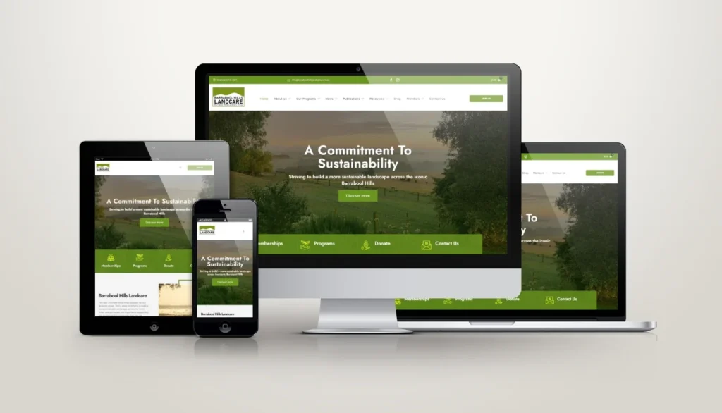 Website