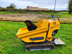 mini crawler dumper