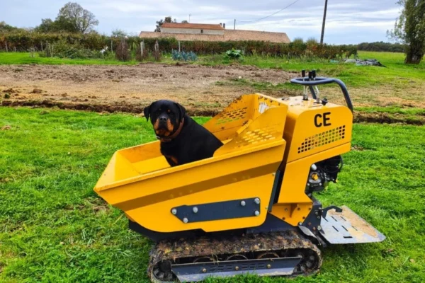 mini crawler dumper