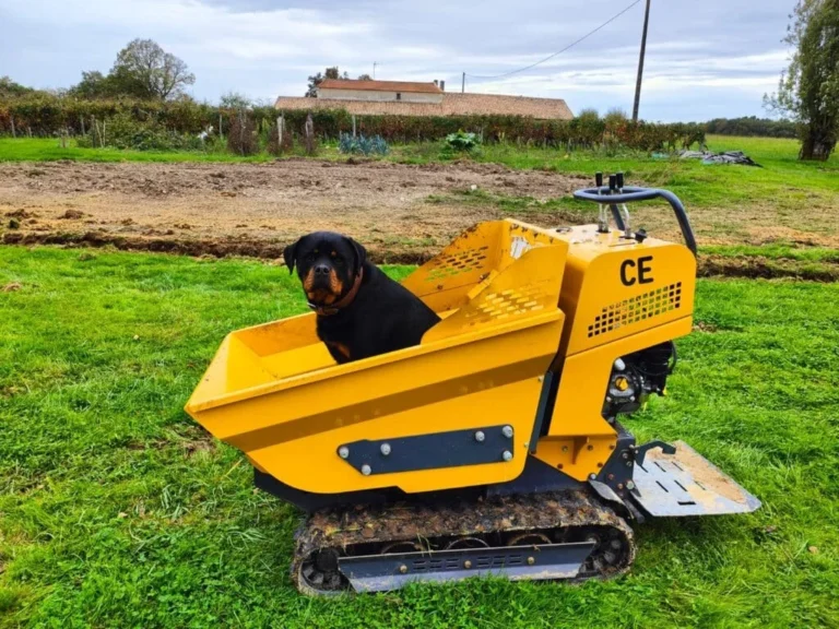 Comparing Mini Dumper Manufacturers Based on Features and Reliability