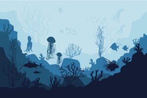 Ocean Wall Art