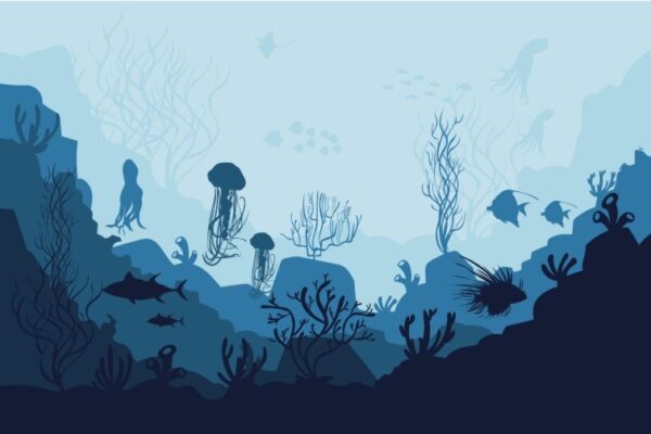 Ocean Wall Art