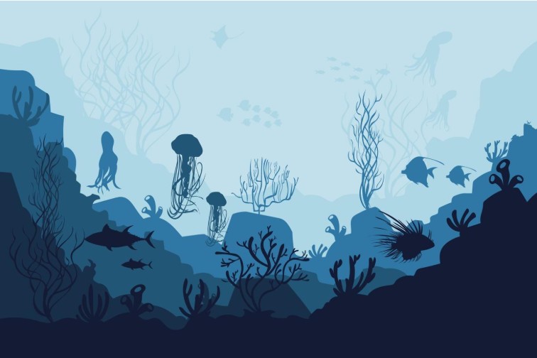 Ocean Wall Art
