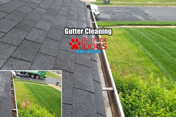 Laurel MD roof cleaning service