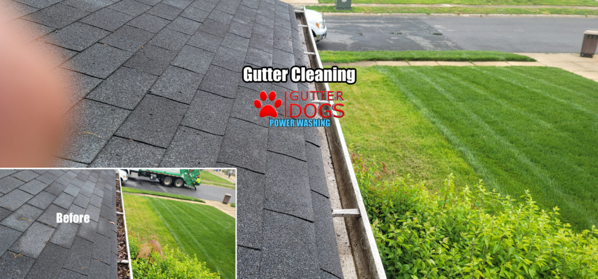 Laurel MD roof cleaning service