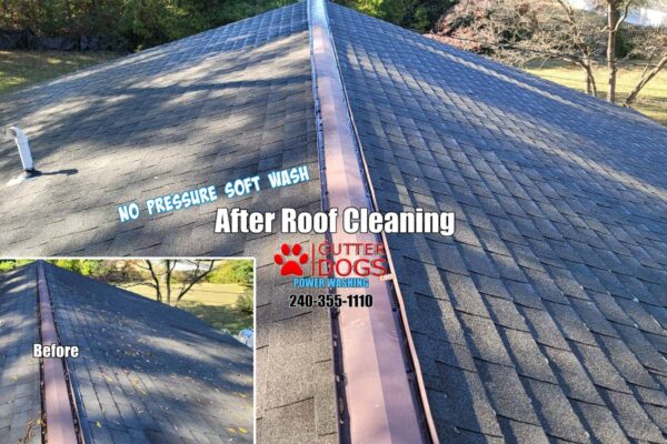 Laurel MD roof cleaning service