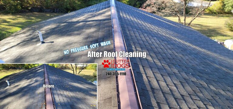 How Professional Roof Cleaning Extends Roof Life in Laurel, MD