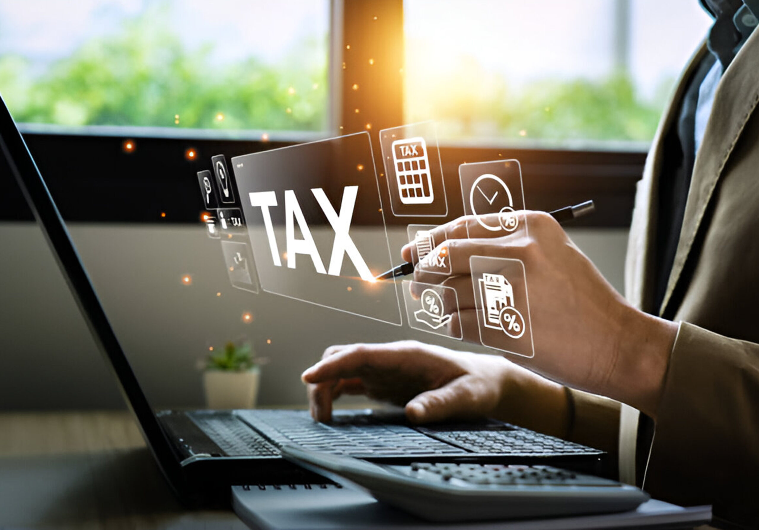 Company Tax Services