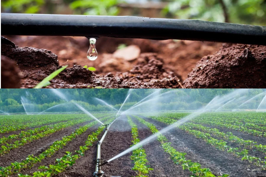 drip irrigation