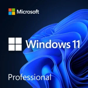 licenta windows 11