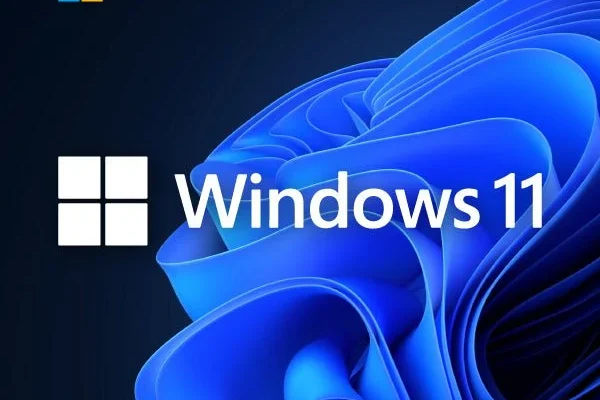 licenta windows 11